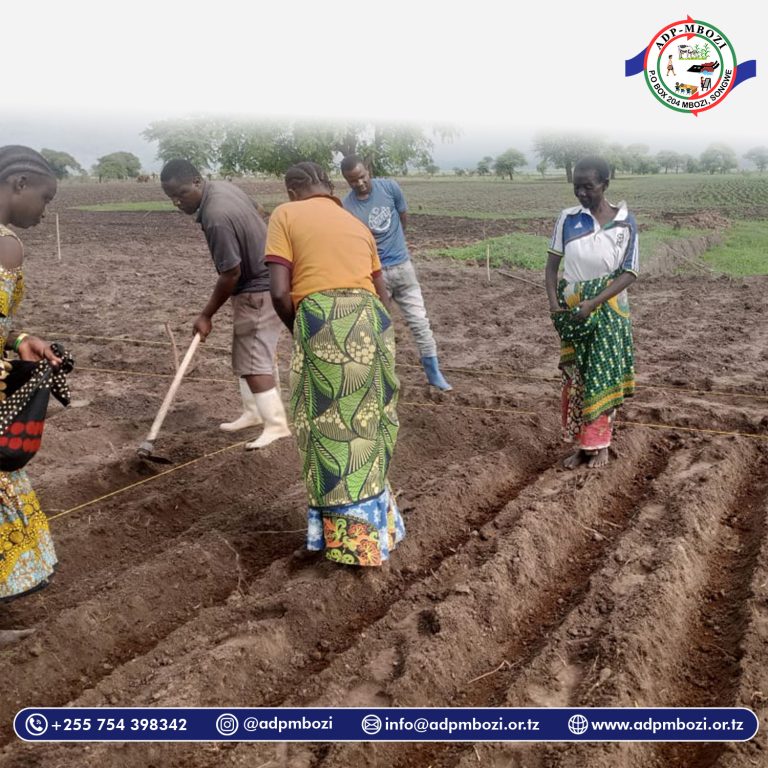 Read more about the article Shamba Darasa – Kikundi cha Ushirikiano