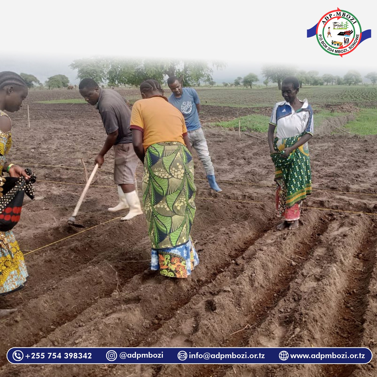 You are currently viewing Shamba Darasa – Kikundi cha Ushirikiano