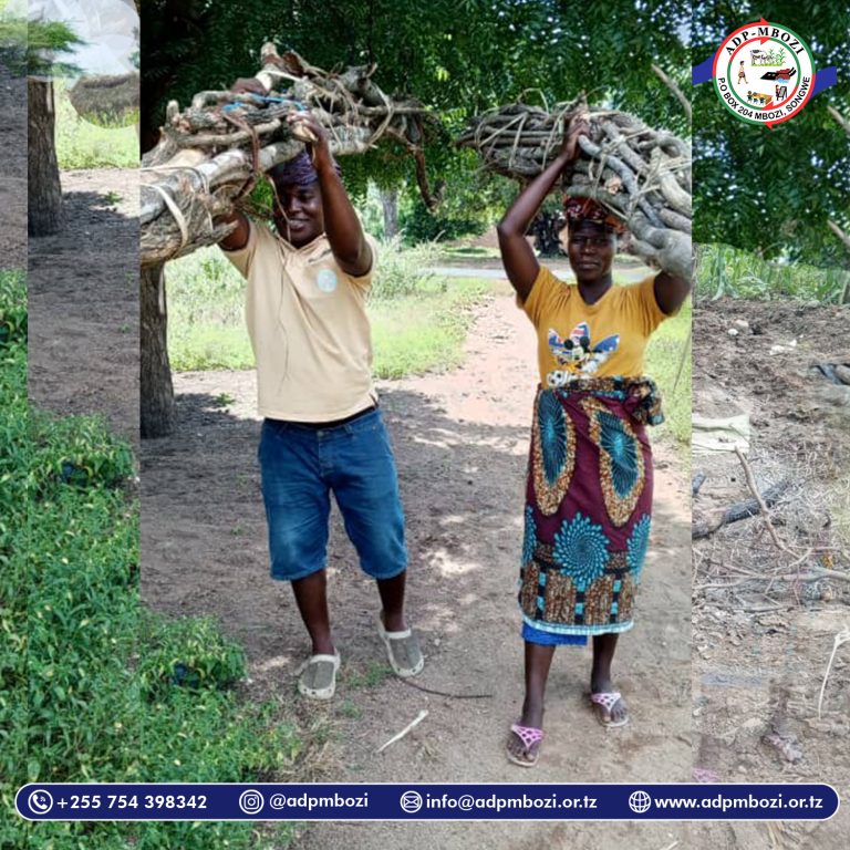 Read more about the article Usawa wa Kijinsia wilayani Songwe