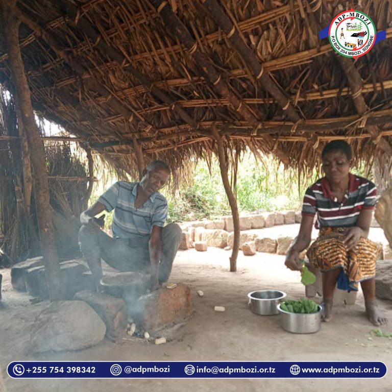 Read more about the article Usawa wa Kijinsia Wilayani Songwe